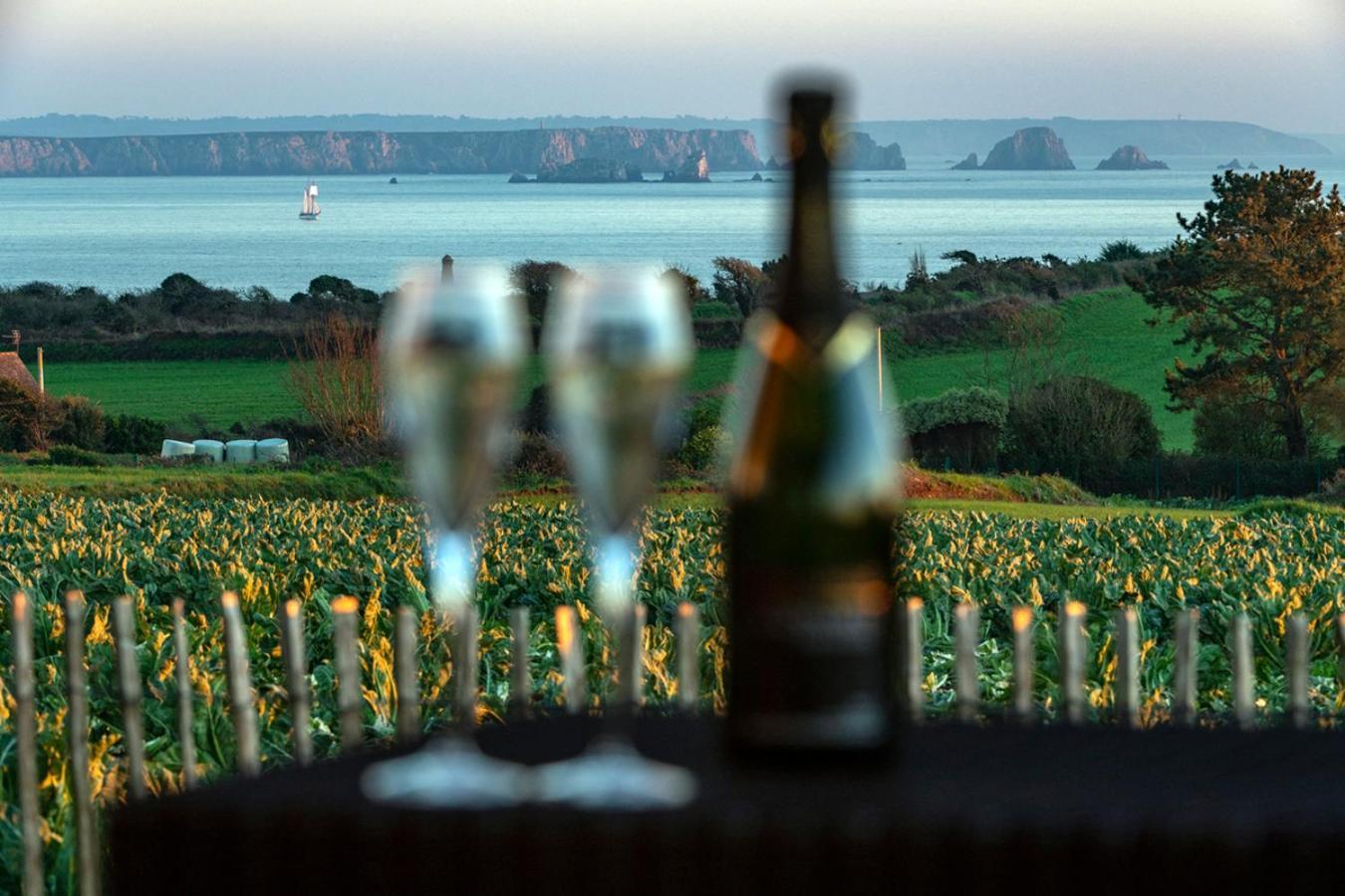 Vue A Couper Le Souffle - De Charme Avec En Bord De - Pointe Finistere Villa